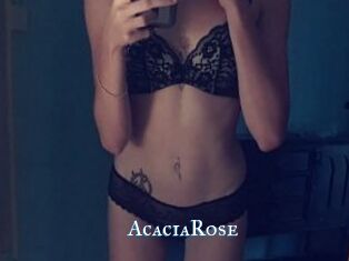 AcaciaRose