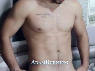 AdamBurning