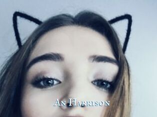 An_Harrison