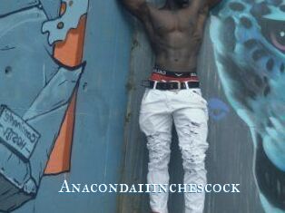 Anaconda11inchescock