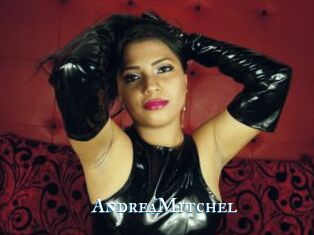 AndreaMitchel