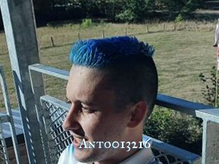 Anto013216
