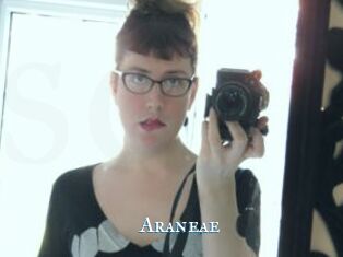 Araneae