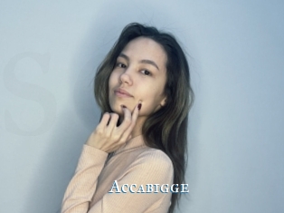 Accabigge