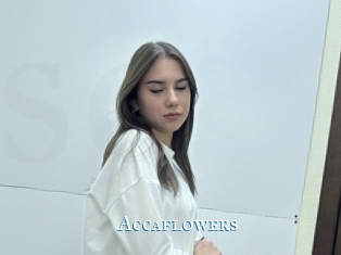 Accaflowers