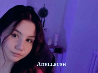 Adellbush