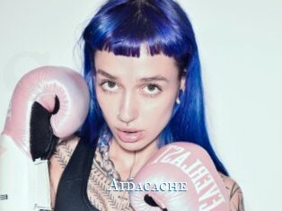 Aidacache
