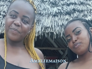 Ameliemaison