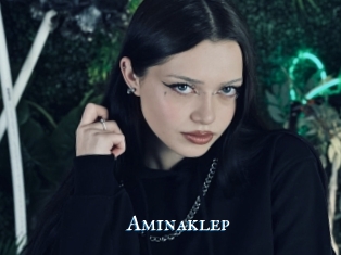 Aminaklep