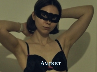 Aminet