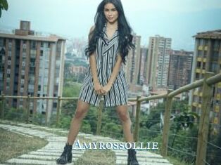 Amyrossollie