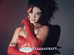 Antonellaagrayy