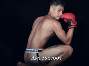 Antonycoot