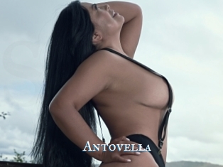 Antovella