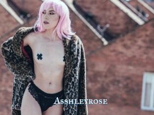 Asshleyrose