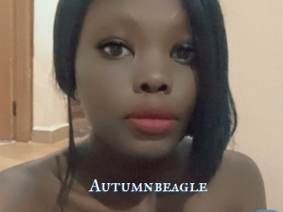 Autumnbeagle
