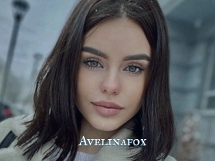 Avelinafox