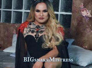 BIGsnakeMistress