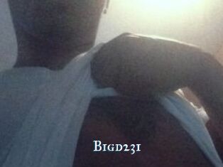 Bigd231