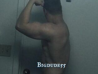 Bigdude55