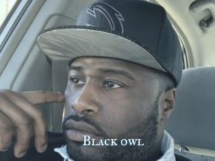 Black_owl