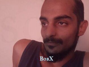 BobX