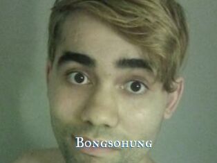 Bongsohung