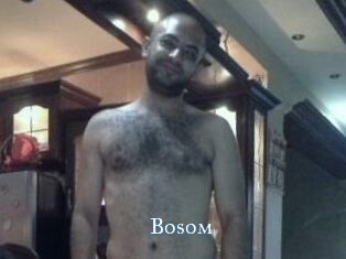 Bosom