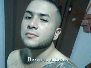 Brandonsirigus