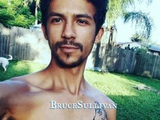 Bruce_Sullivan