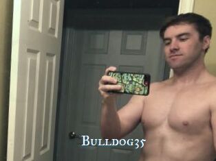 Bulldog35