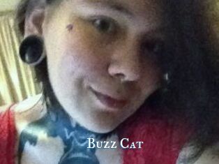 Buzz_Cat