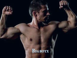 Bigboyx