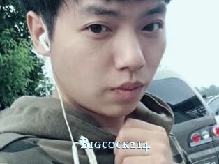 Bigcock214