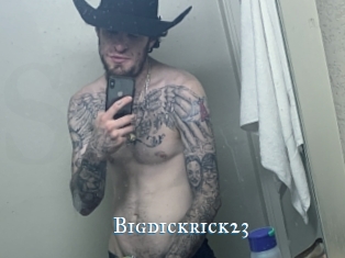 Bigdickrick23