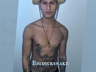 bigdicksnake sexchat