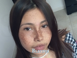 Bleydys