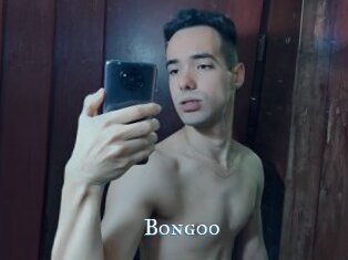 Bongoo