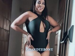 Brandyebony