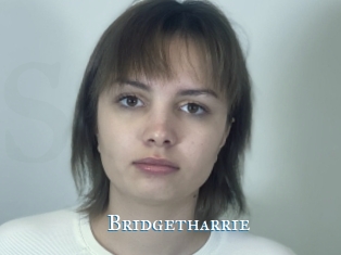 Bridgetharrie