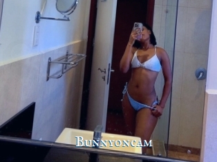 Bunnyoncam