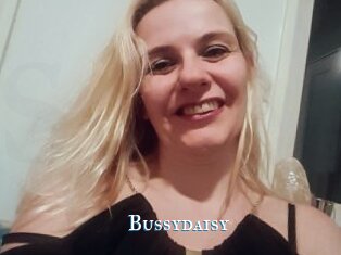 Bussydaisy