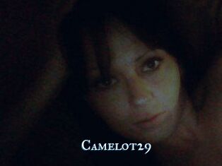 Camelot29