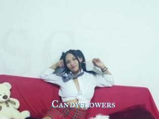 Candyflowers