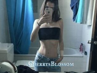 CherrysBlossom