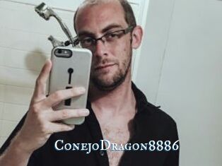 ConejoDragon8886