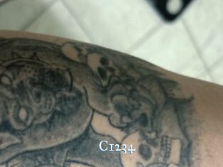 C1234