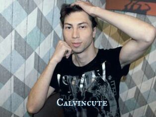 Calvincute