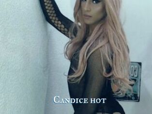 Candice_hot