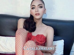 Cataleahalawi